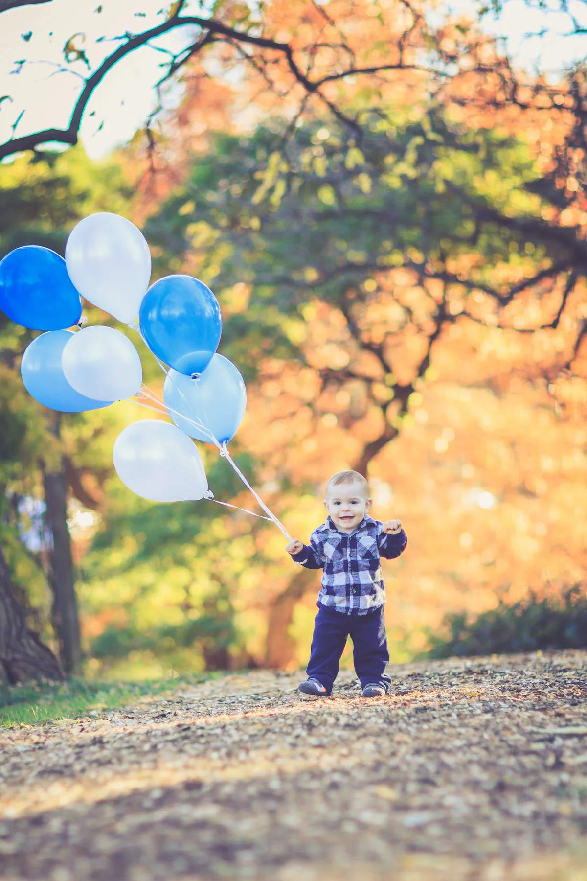 A toddler in a plaid shirt holds a bunch of blue and white balloons on a leafy autumn path.